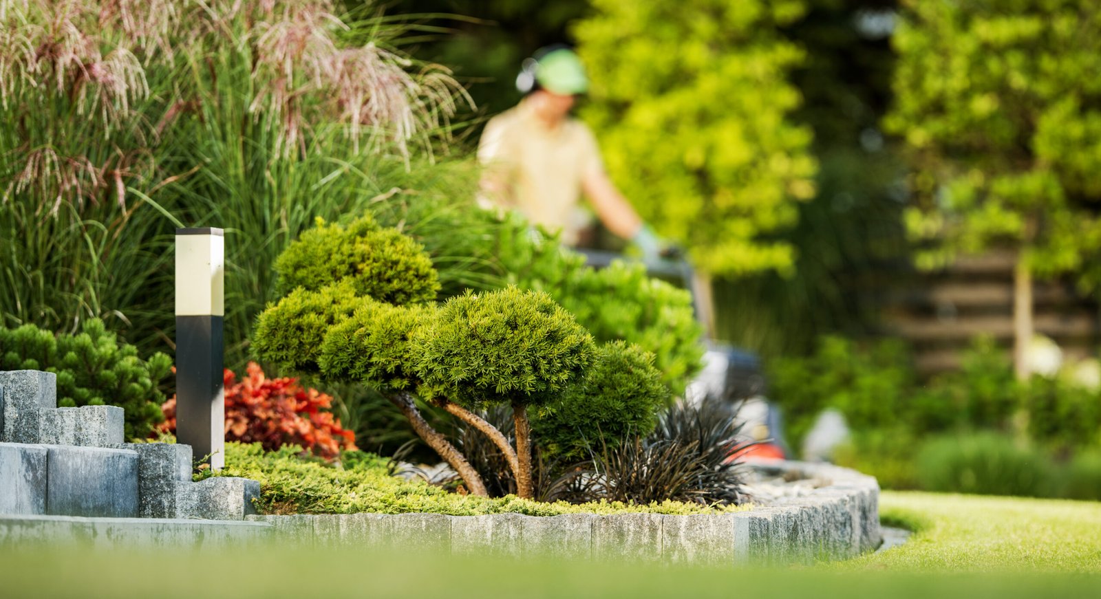 TrueLine Landscaping — NC residential landscape
