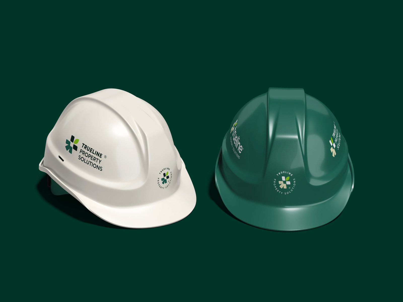 TrueLine Property Solutions — team at work